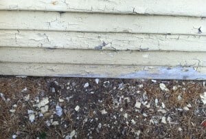 Deteriorated-Siding-and-Chips_850-x-572_12-27-2015_IMG_0772